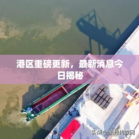 港區重磅更新，最新消息今日揭秘