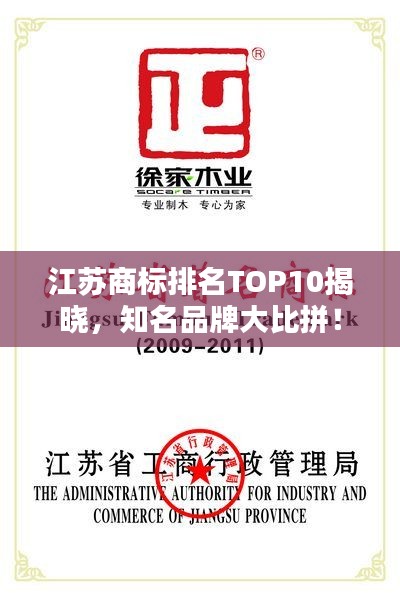 江蘇商標排名TOP10揭曉，知名品牌大比拼！