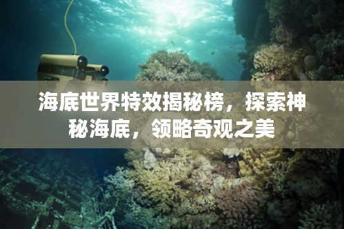 海底世界特效揭秘榜，探索神秘海底，領略奇觀之美