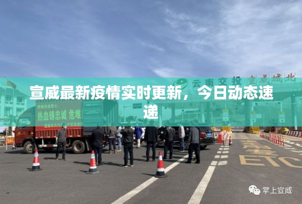 宣威最新疫情實時更新，今日動態速遞