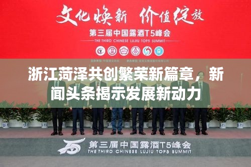 浙江菏澤共創(chuàng)繁榮新篇章，新聞?lì)^條揭示發(fā)展新動(dòng)力