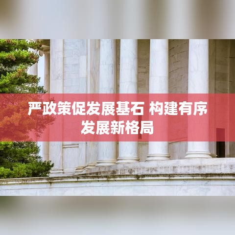 嚴政策促發展基石 構建有序發展新格局