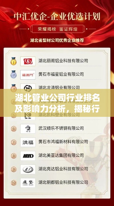 湖北管業公司行業排名及影響力分析，揭秘行業巨頭與影響力之巔