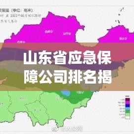 山東省應急保障公司排名揭秘，行業深度分析與洞察