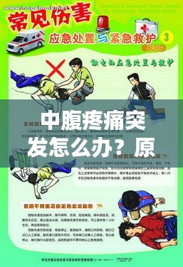 中腹疼痛突發怎么辦？原因解析、應急處理與預防措施一網打盡！