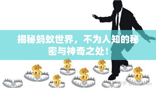 揭秘螞蟻世界，不為人知的秘密與神奇之處！