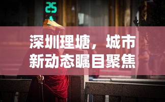 深圳理塘，城市新動(dòng)態(tài)矚目聚焦