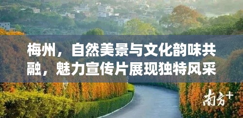 梅州，自然美景與文化韻味共融，魅力宣傳片展現獨特風采