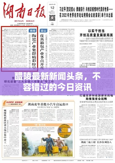 醴陵最新新聞?lì)^條，不容錯(cuò)過的今日資訊