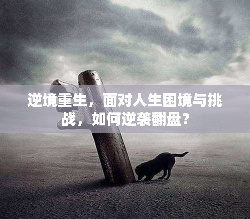 逆境重生，面對人生困境與挑戰，如何逆襲翻盤？