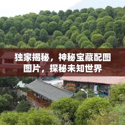 尊道貴德