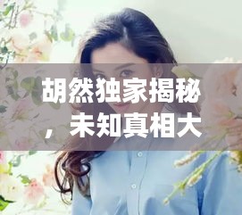 2025年2月13日 第4頁