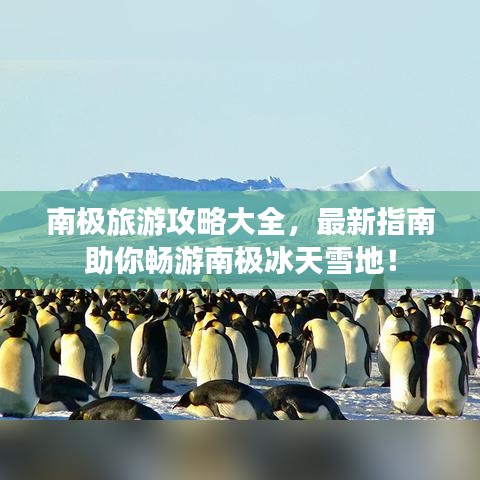 南極旅游攻略大全，最新指南助你暢游南極冰天雪地！