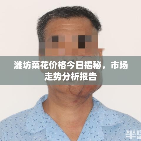 濰坊菜花價格今日揭秘，市場走勢分析報告