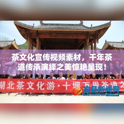茶文化宣傳視頻素材，千年茶道傳承演繹之美驚艷呈現！