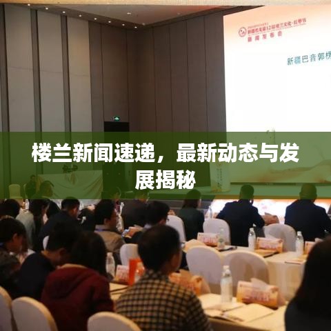 樓蘭新聞速遞，最新動(dòng)態(tài)與發(fā)展揭秘