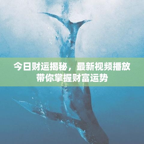 今日財運揭秘，最新視頻播放帶你掌握財富運勢