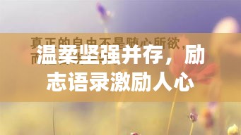 溫柔堅強并存，勵志語錄激勵人心
