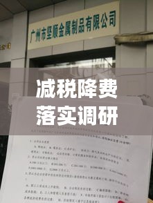 減稅降費落實調研報告，政策成效分析與建議