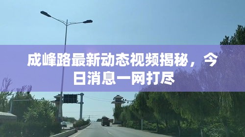 成峰路最新動(dòng)態(tài)視頻揭秘，今日消息一網(wǎng)打盡