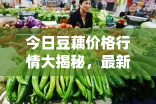 今日豆藕價(jià)格行情大揭秘，最新報(bào)價(jià)一網(wǎng)打盡！