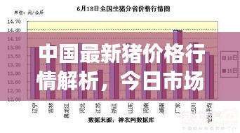 中國最新豬價(jià)格行情解析，今日市場走勢分析