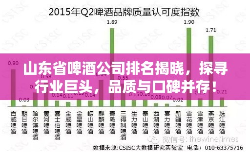 山東省啤酒公司排名揭曉，探尋行業巨頭，品質與口碑并存！