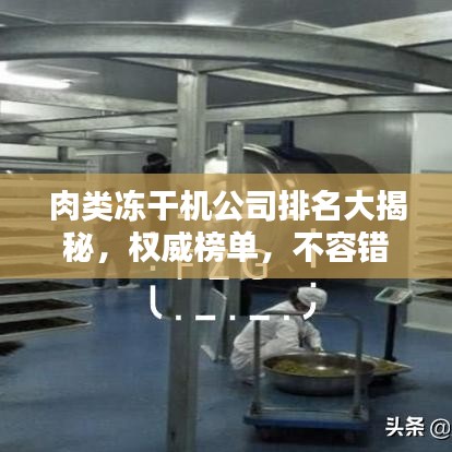 肉類凍干機公司排名大揭秘，權威榜單，不容錯過！