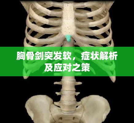 胸骨劍突發軟，癥狀解析及應對之策