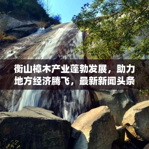 衡山樟木產業蓬勃發展，助力地方經濟騰飛，最新新聞頭條