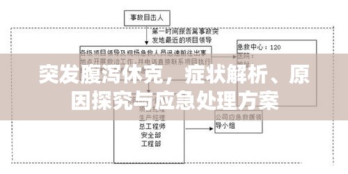 突發腹瀉休克，癥狀解析、原因探究與應急處理方案