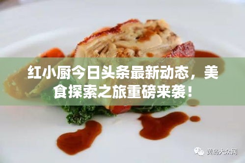 紅小廚今日頭條最新動態，美食探索之旅重磅來襲！