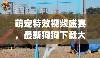 萌寵特效視頻盛宴，最新狗狗下載大全，一網(wǎng)打盡娛樂時光
