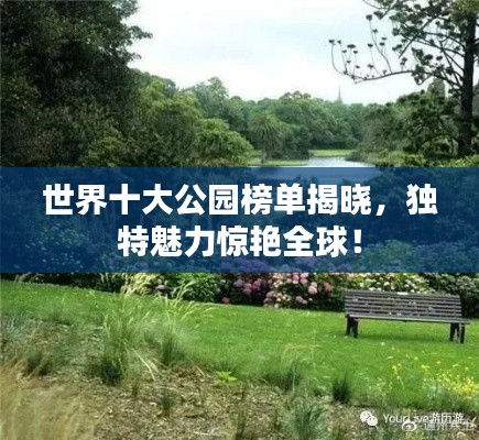 有張沒智