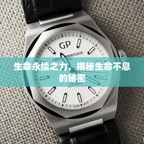 生命永續之力，揭秘生命不息的秘密