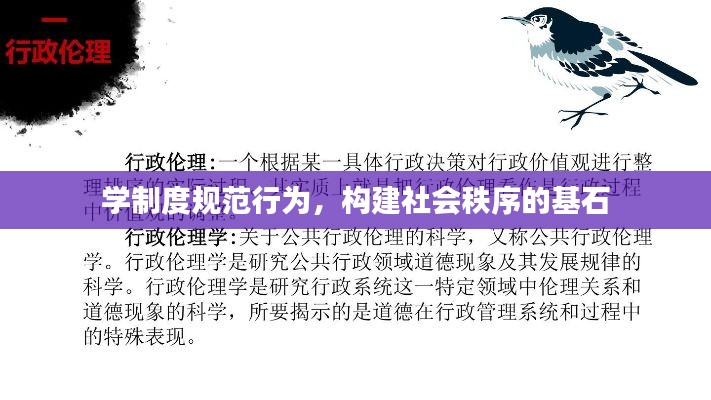 學制度規范行為，構建社會秩序的基石