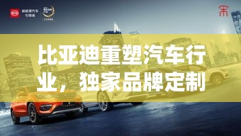 比亞迪重塑汽車行業(yè)，獨(dú)家品牌定制，開啟定制新紀(jì)元