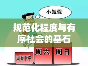 規(guī)范化程度與有序社會的基石，構建社會秩序的基石