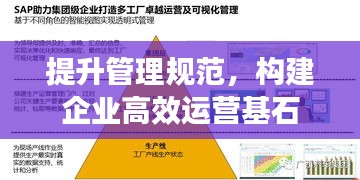 提升管理規范，構建企業高效運營基石