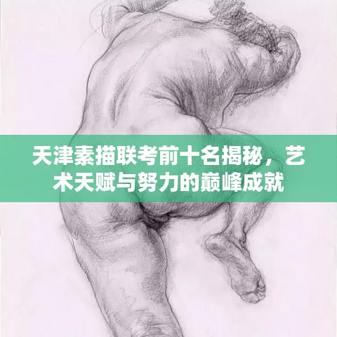 天津素描聯考前十名揭秘，藝術天賦與努力的巔峰成就