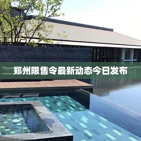 鄭州限售令最新動態今日發布