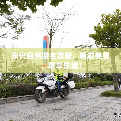 東興自駕游全攻略，暢游美景，盡享樂趣！
