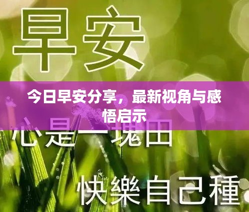 今日早安分享，最新視角與感悟啟示