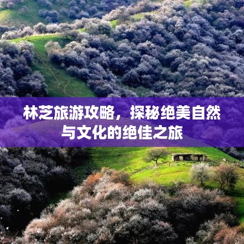 林芝旅游攻略，探秘絕美自然與文化的絕佳之旅