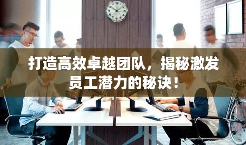 打造高效卓越團隊，揭秘激發員工潛力的秘訣！