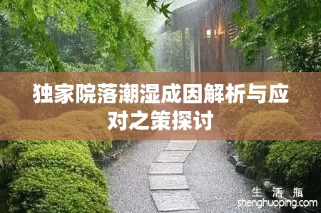 獨家院落潮濕成因解析與應對之策探討