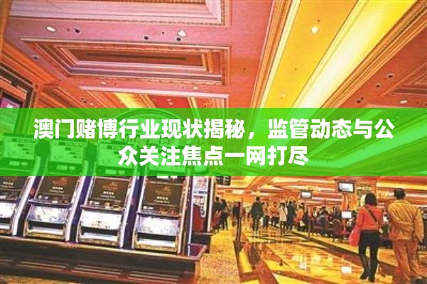 澳門賭博行業(yè)現(xiàn)狀揭秘，監(jiān)管動態(tài)與公眾關(guān)注焦點一網(wǎng)打盡