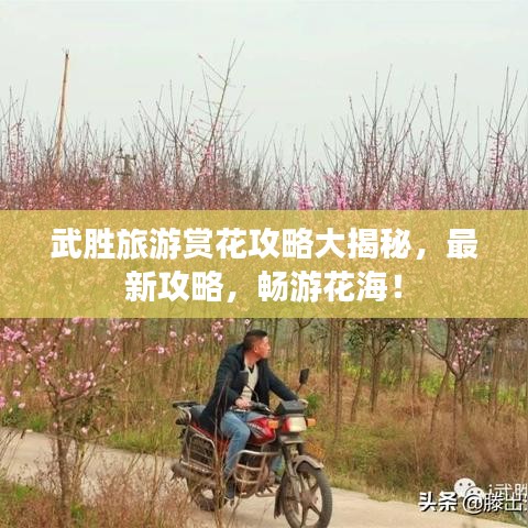 武勝旅游賞花攻略大揭秘，最新攻略，暢游花海！