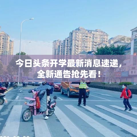 今日頭條開學(xué)最新消息速遞，全新通告搶先看！