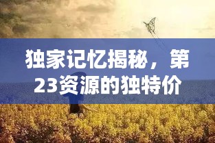 獨(dú)家記憶揭秘，第23資源的獨(dú)特價(jià)值探索